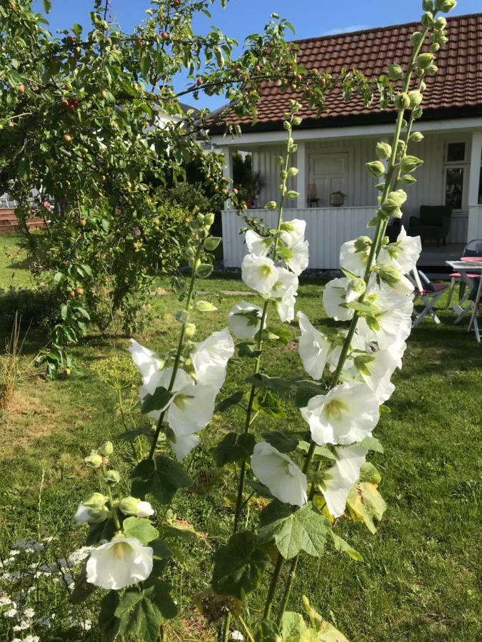 Oslofjordens Perle Naersnes Bagian luar foto