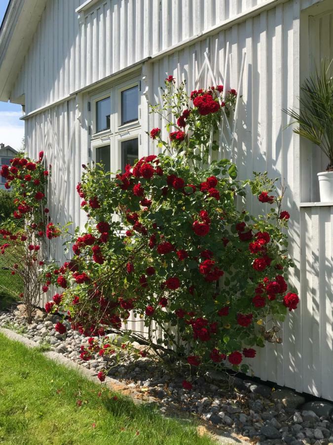 Oslofjordens Perle Naersnes Bagian luar foto